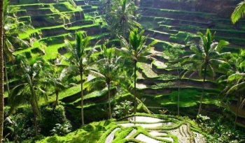 INDONESIA