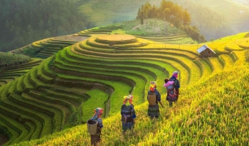 VIETNAM