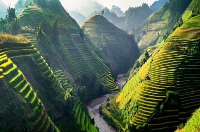 VIETNAM
