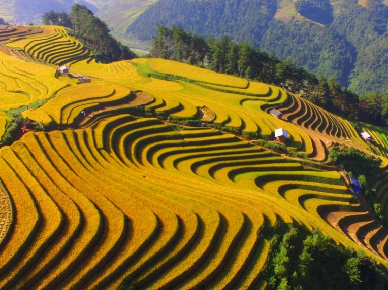 Highlights of Northwest Vietnam 
